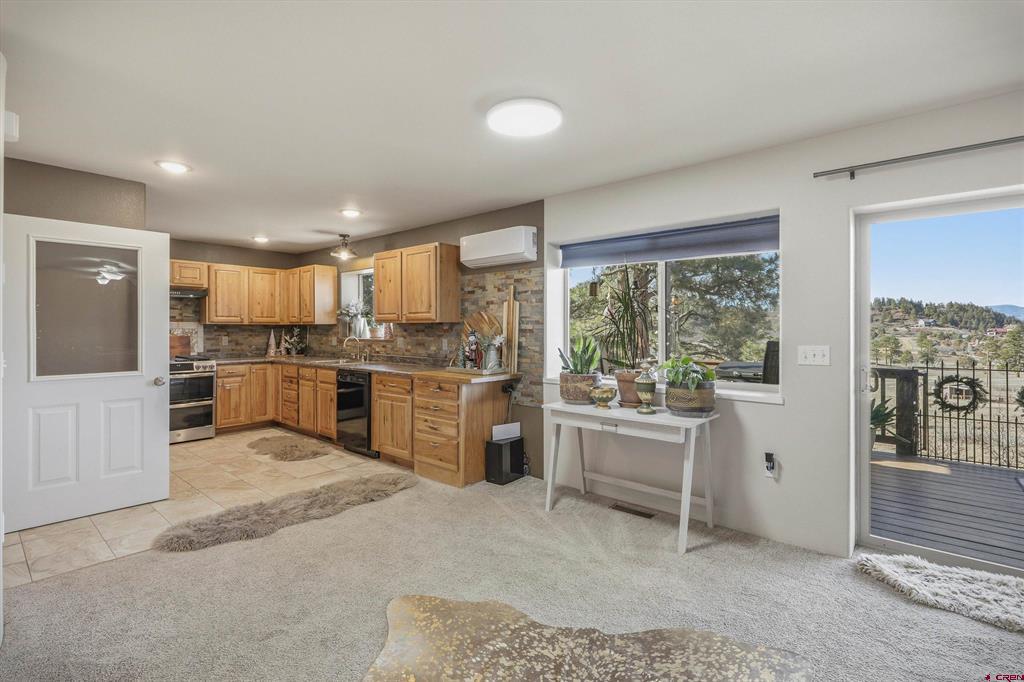 1594 Meadows Drive Pagosa Springs CO 81147