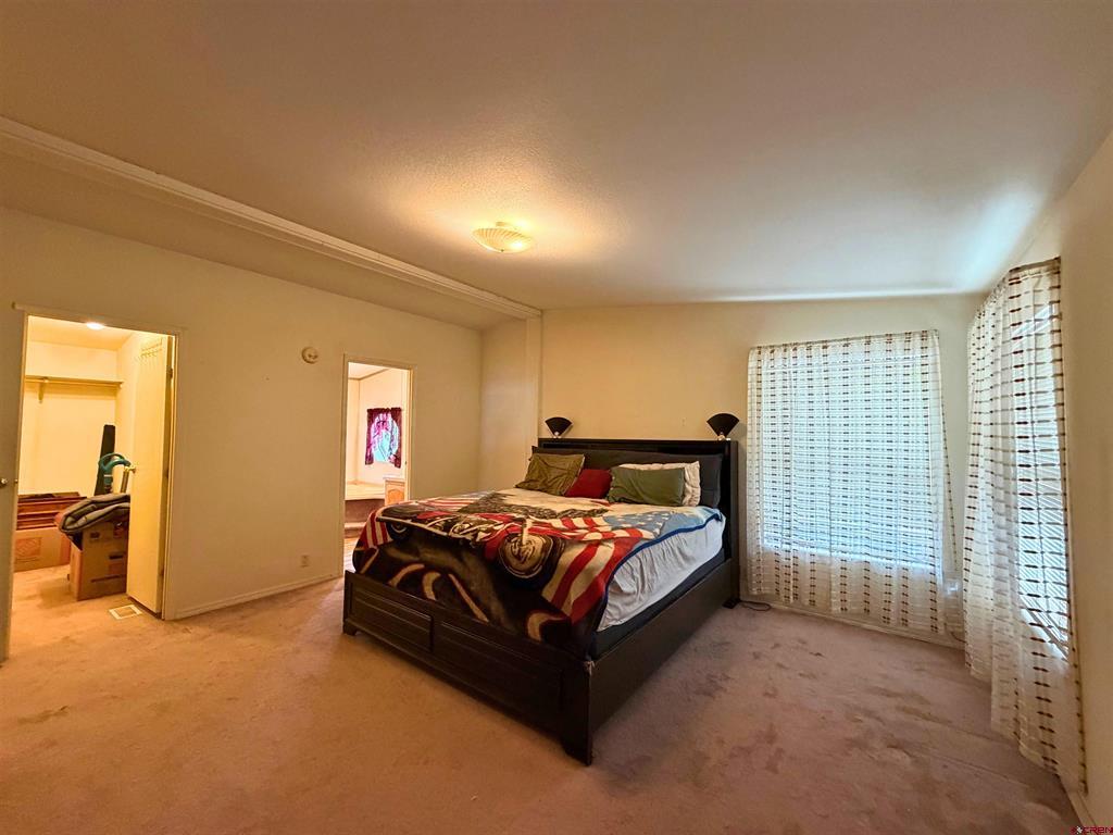 1921 Kellie Drive Montrose CO 81401