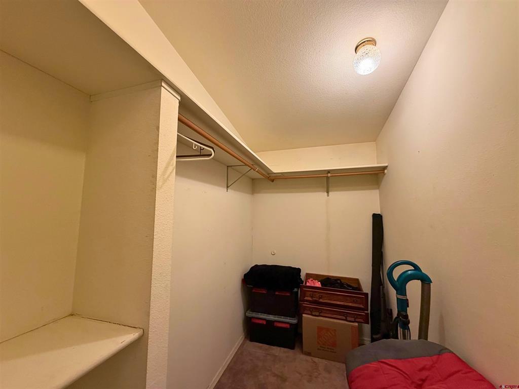 1921 Kellie Drive Montrose CO 81401