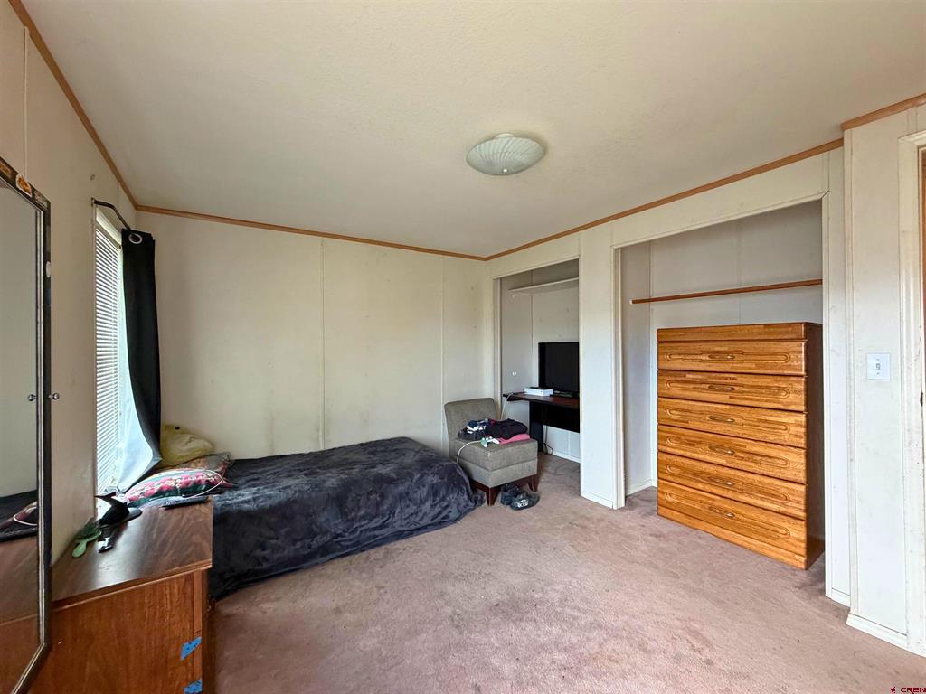 1921 Kellie Drive Montrose CO 81401