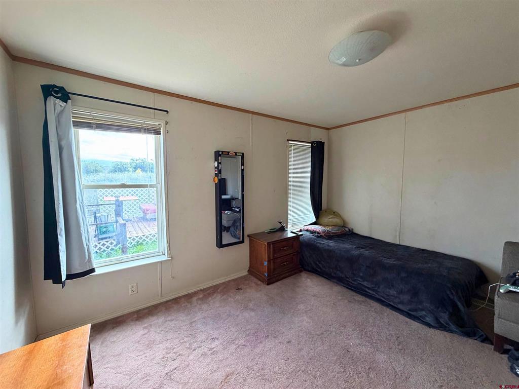 1921 Kellie Drive Montrose CO 81401