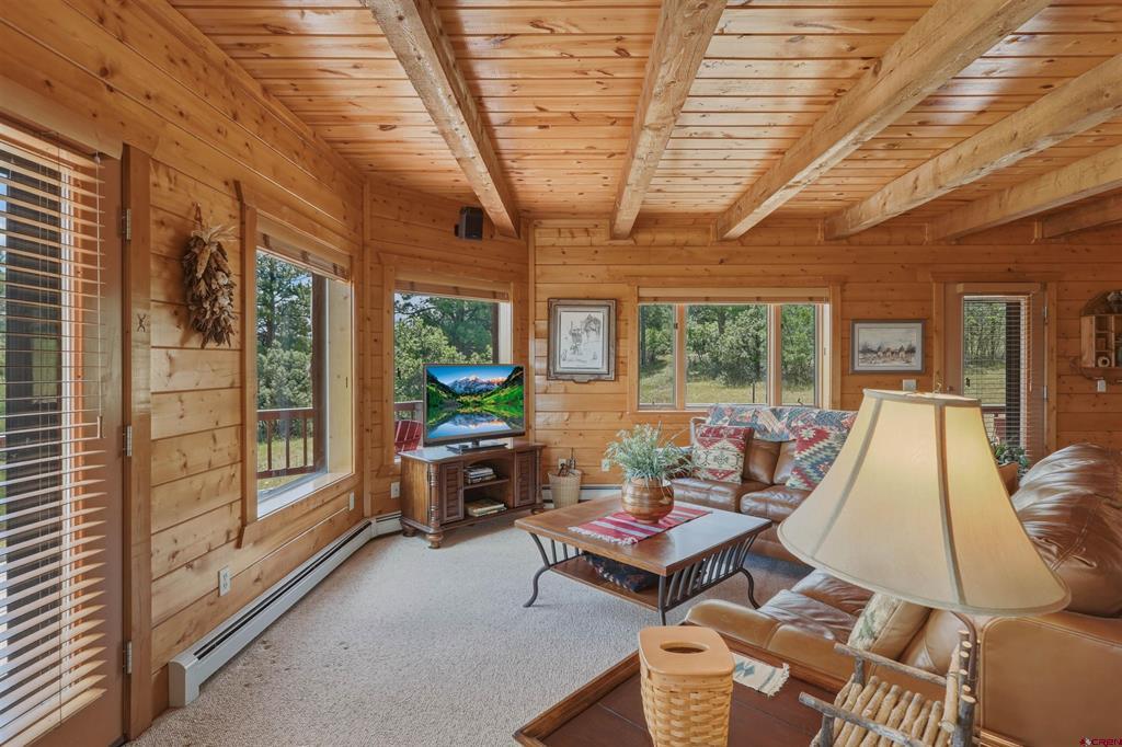 590 San Juan Drive Pagosa Springs CO 81147