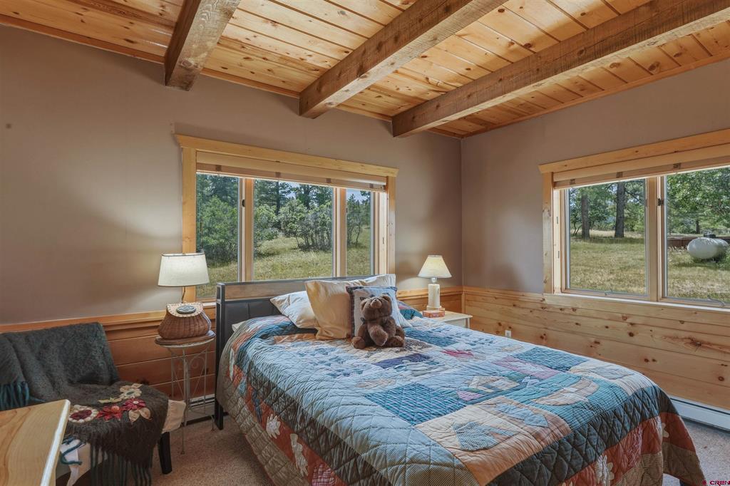 590 San Juan Drive Pagosa Springs CO 81147