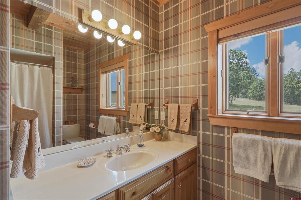 590 San Juan Drive Pagosa Springs CO 81147