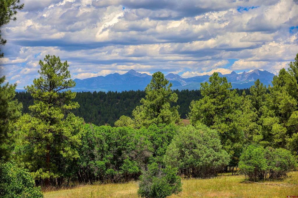 590 San Juan Drive Pagosa Springs CO 81147