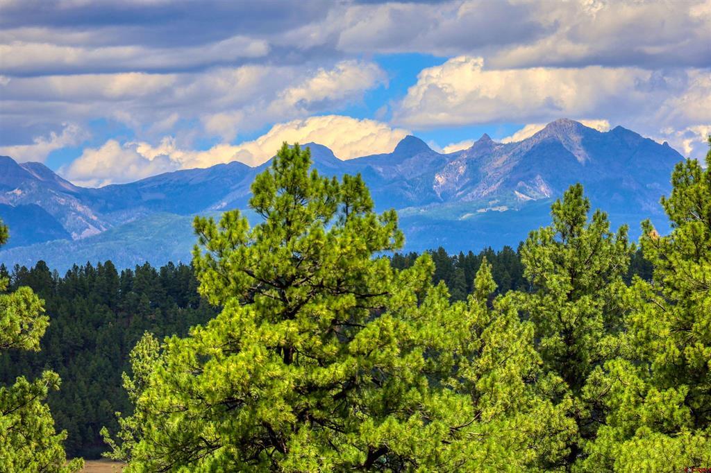 590 San Juan Drive Pagosa Springs CO 81147