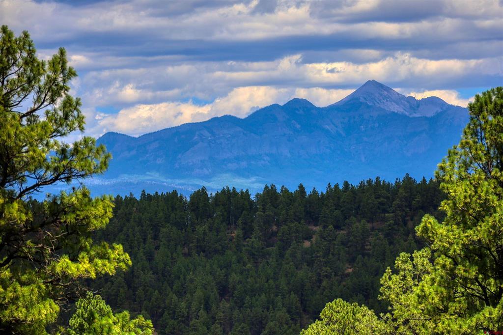 590 San Juan Drive Pagosa Springs CO 81147
