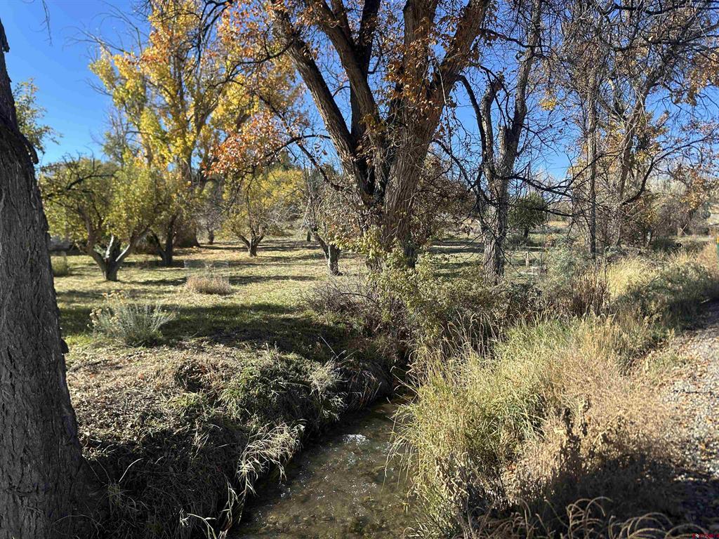 63652 Ranger Road Montrose CO 81403