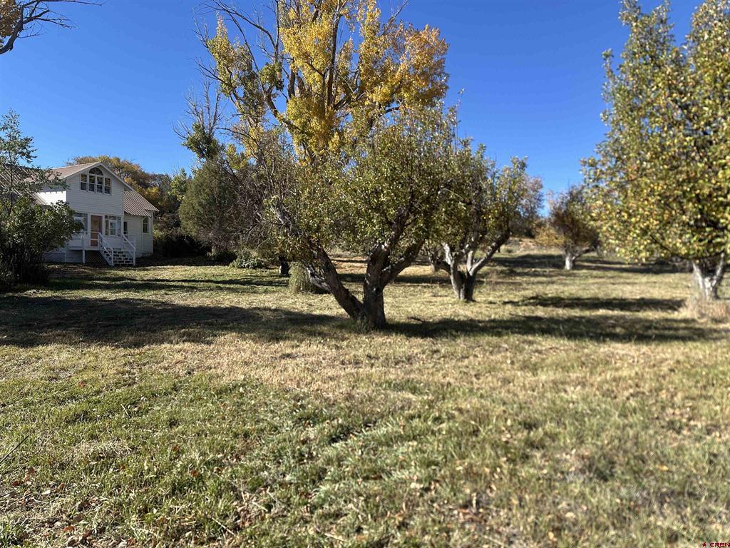 63652 Ranger Road Montrose CO 81403