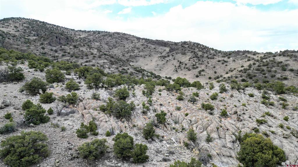 37258 Elkhorn Canyon Road Del Norte CO 81132