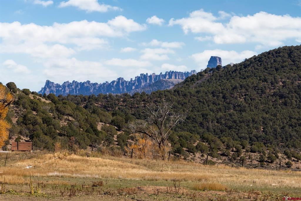 228 Redcliff Drive Ridgway CO 81432