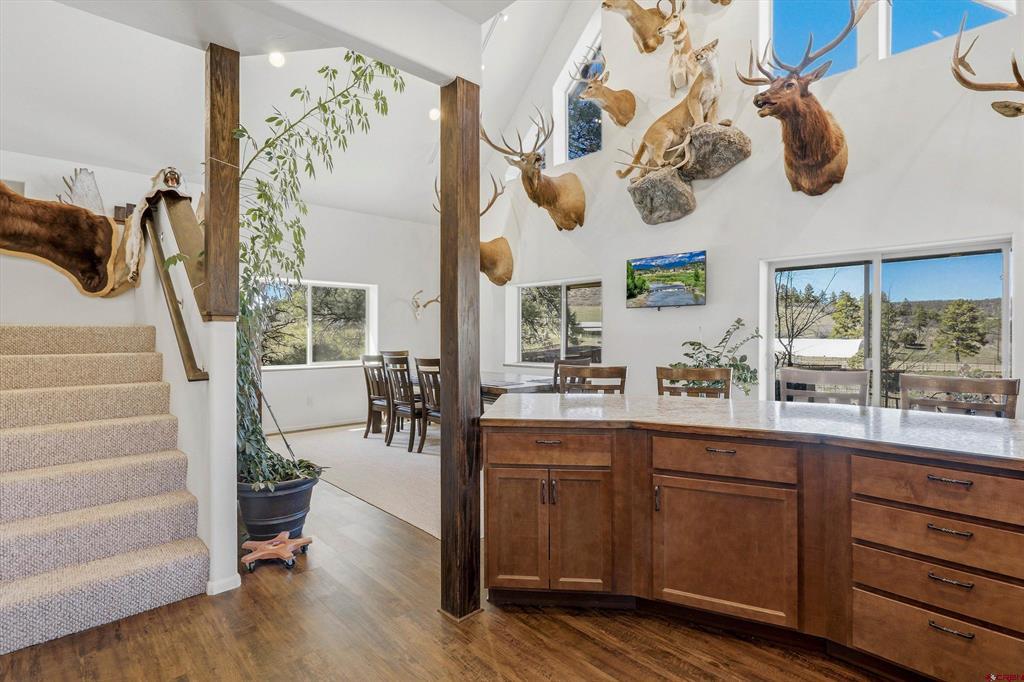 525 County Road 139 Pagosa Springs CO 81147