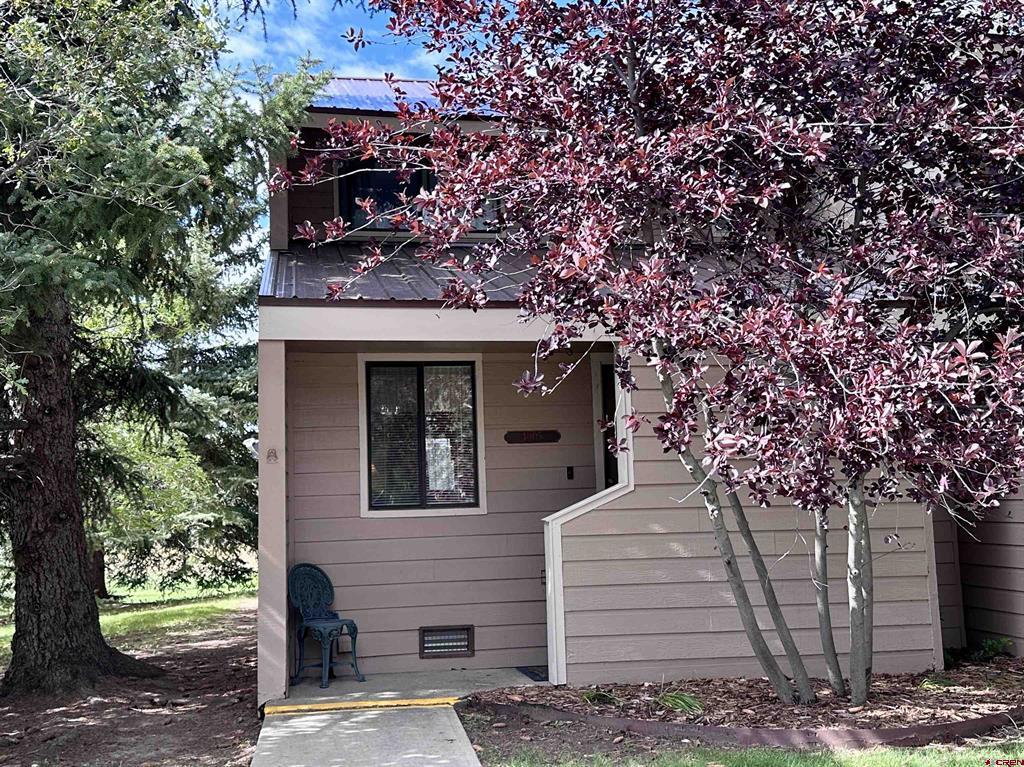 Pagosa Springs CO, 33 Davis Cup, Unit 4005