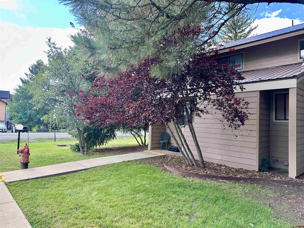 33 Davis Cup Drive Pagosa Springs CO 81147