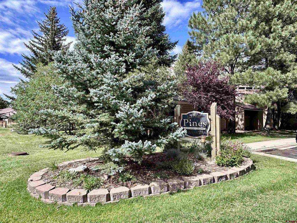 33 Davis Cup Drive Pagosa Springs CO 81147
