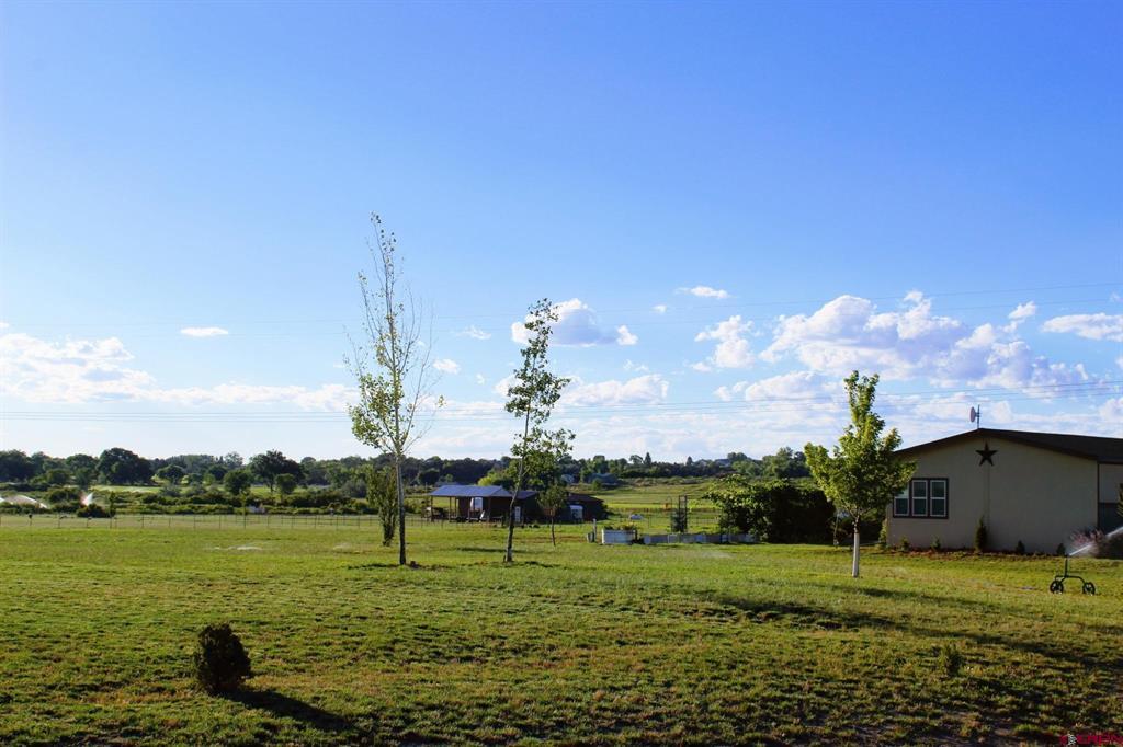 11155 Road 30.1 Mancos CO 81328