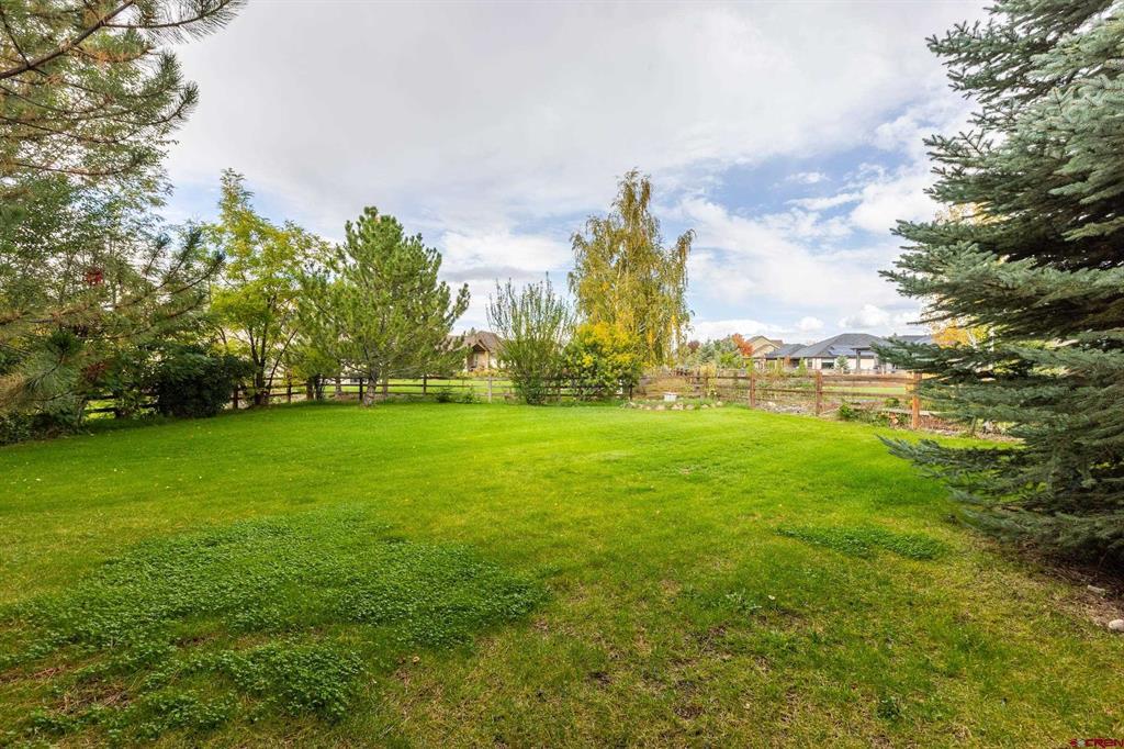 3924 Mount Hayden Drive Montrose CO 81403