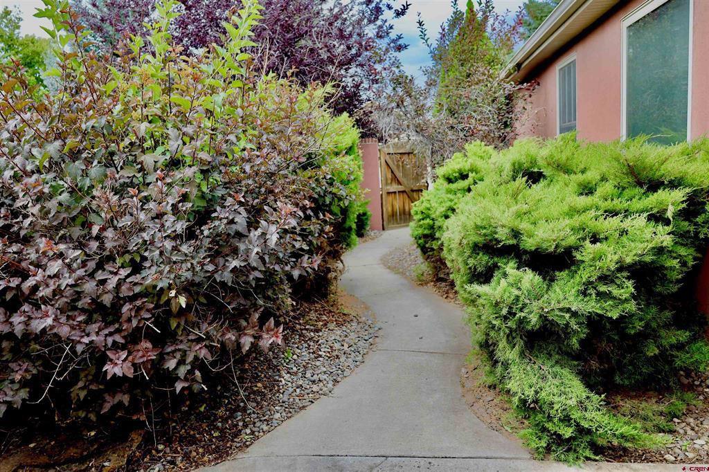 3924 Mount Hayden Drive Montrose CO 81403