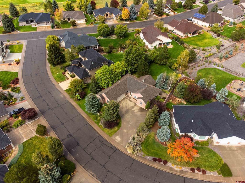 3924 Mount Hayden Drive Montrose CO 81403