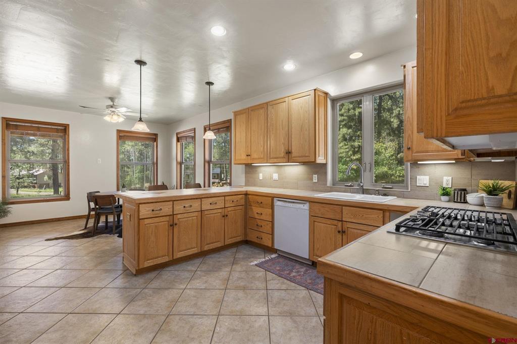 507 Deer Ridge Drive Bayfield CO 81122