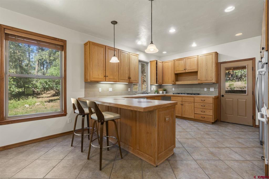 507 Deer Ridge Drive Bayfield CO 81122