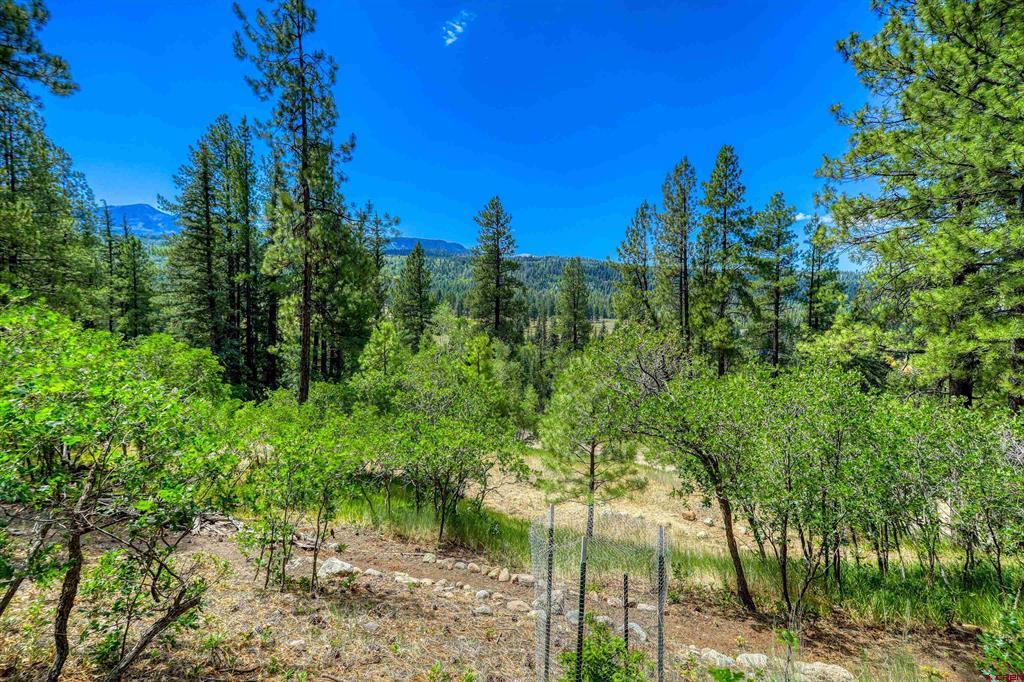 383 Crossroads Drive Pagosa Springs CO 81147