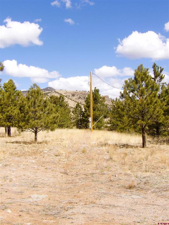 Lot 20 Scenic Mountain Estates Del Norte CO 81132