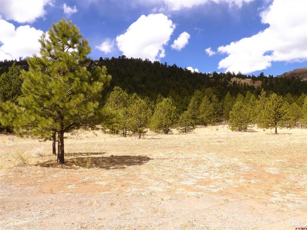 Lot 20 Scenic Mountain Estates Del Norte CO 81132