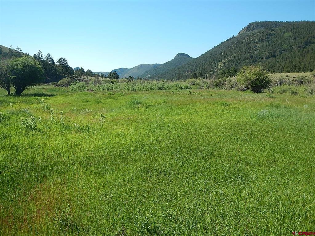 Lot 20 Scenic Mountain Estates Del Norte CO 81132
