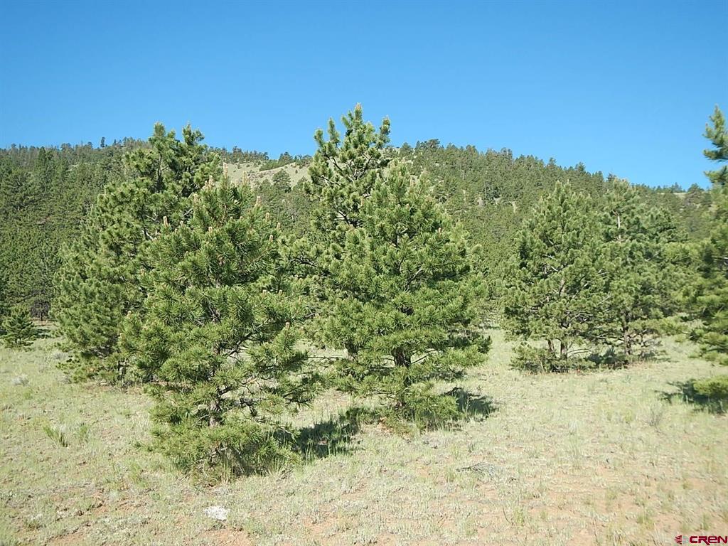 Lot 20 Scenic Mountain Estates Del Norte CO 81132