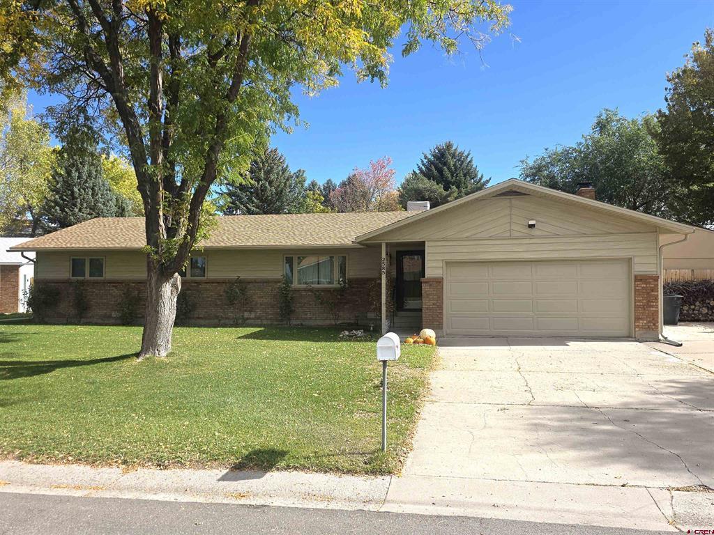 2585 Storm King Avenue Montrose CO 81401