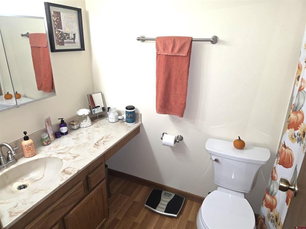 2585 Storm King Avenue Montrose CO 81401