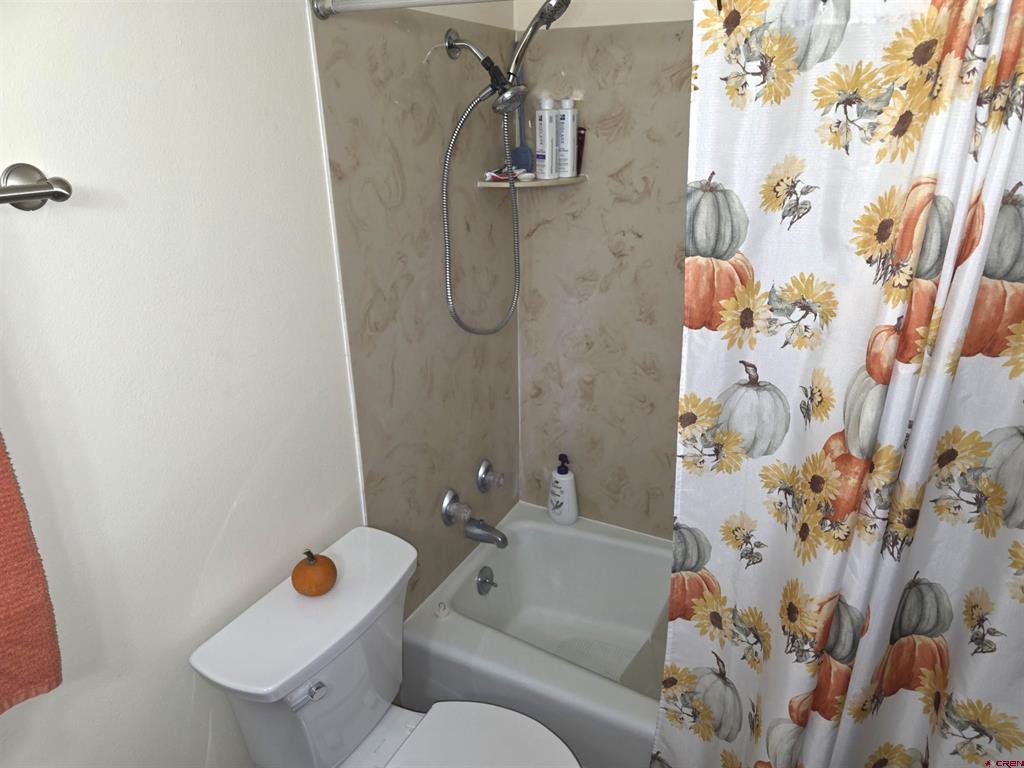 2585 Storm King Avenue Montrose CO 81401