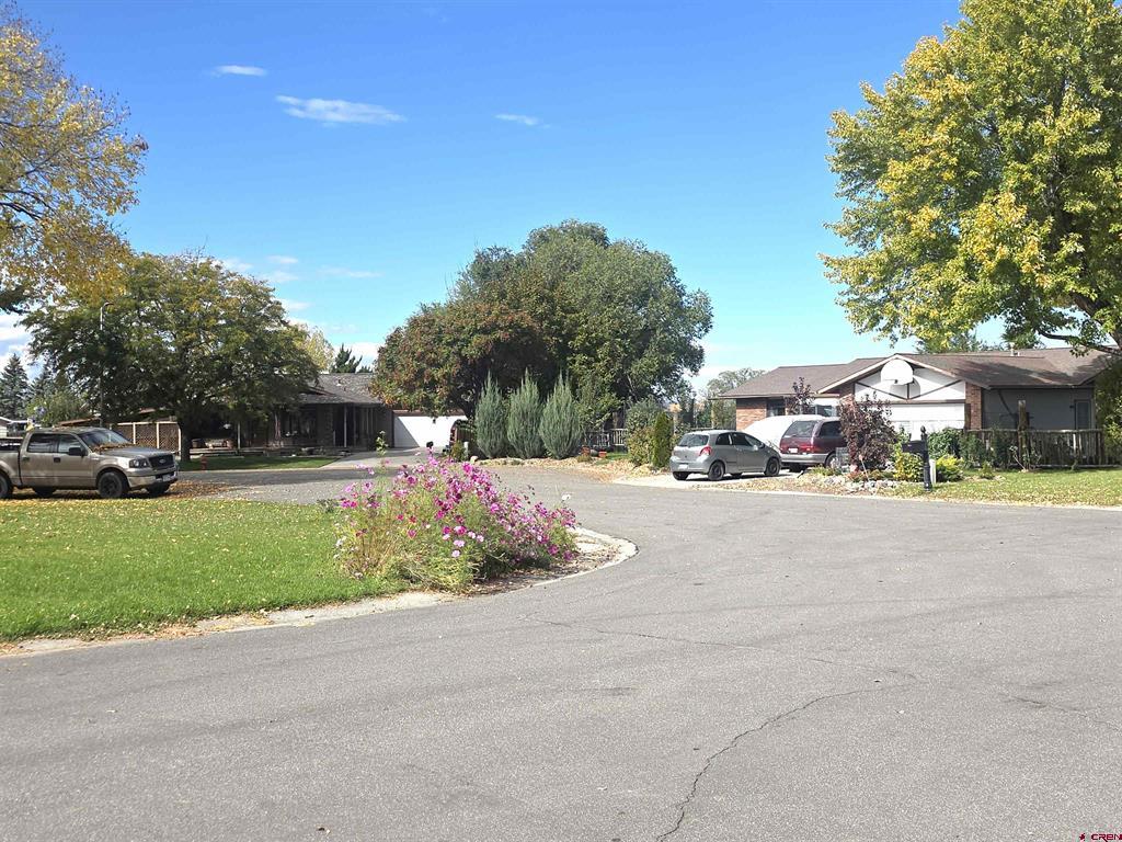 2585 Storm King Avenue Montrose CO 81401