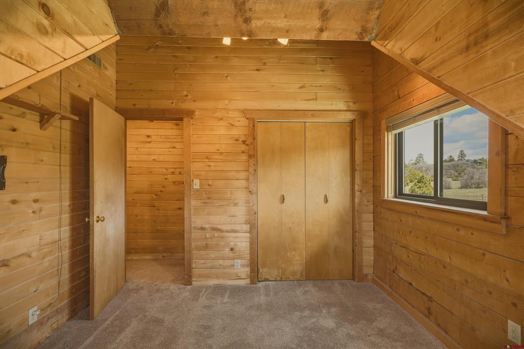 50 Rifle Place Pagosa Springs CO 81147