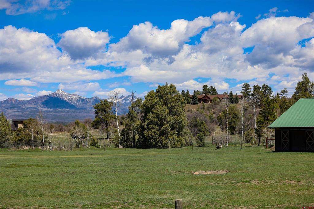 50 Rifle Place Pagosa Springs CO 81147