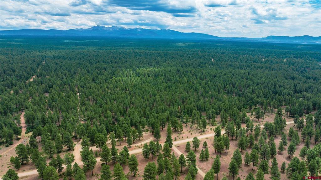 36794 Road T.7 Mancos CO 81328