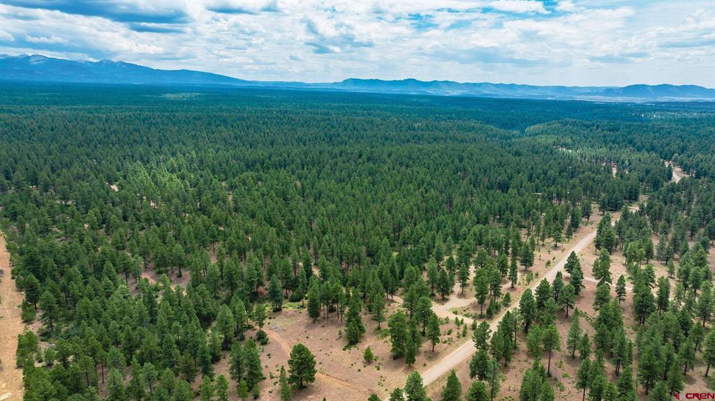 36794 Road T.7 Mancos CO 81328