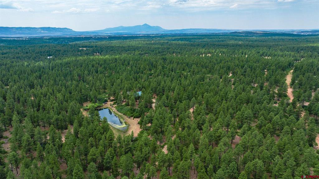 36794 Road T.7 Mancos CO 81328