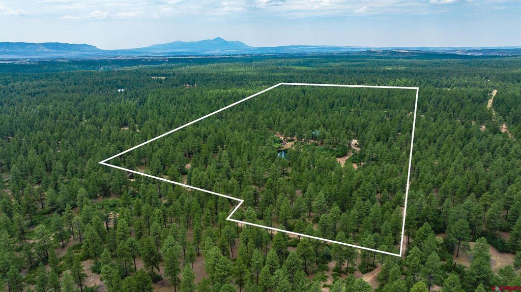 36794 Road T.7 Mancos CO 81328