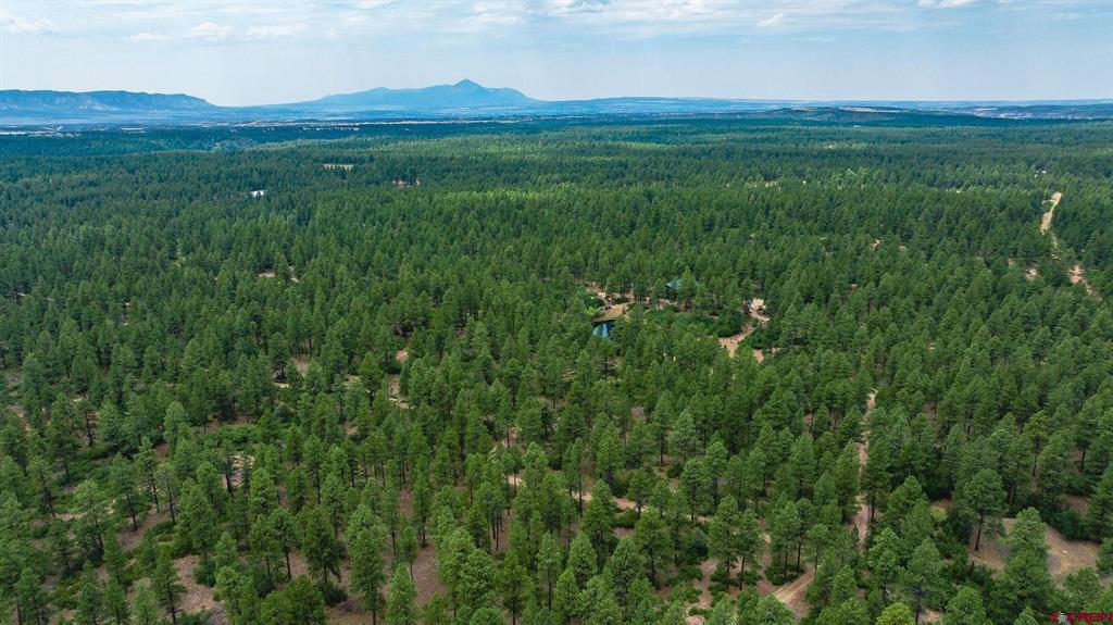 36794 Road T.7 Mancos CO 81328