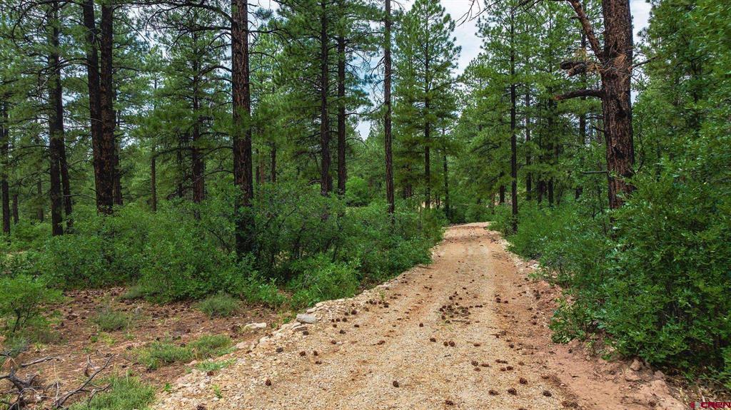 36794 Road T.7 Mancos CO 81328