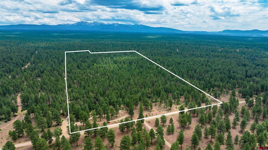 36794 Road T.7 Mancos CO 81328