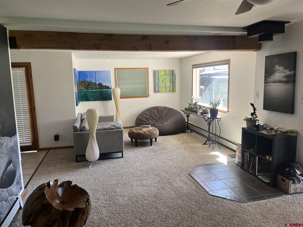 330 N Cora Street Ridgway CO 81432