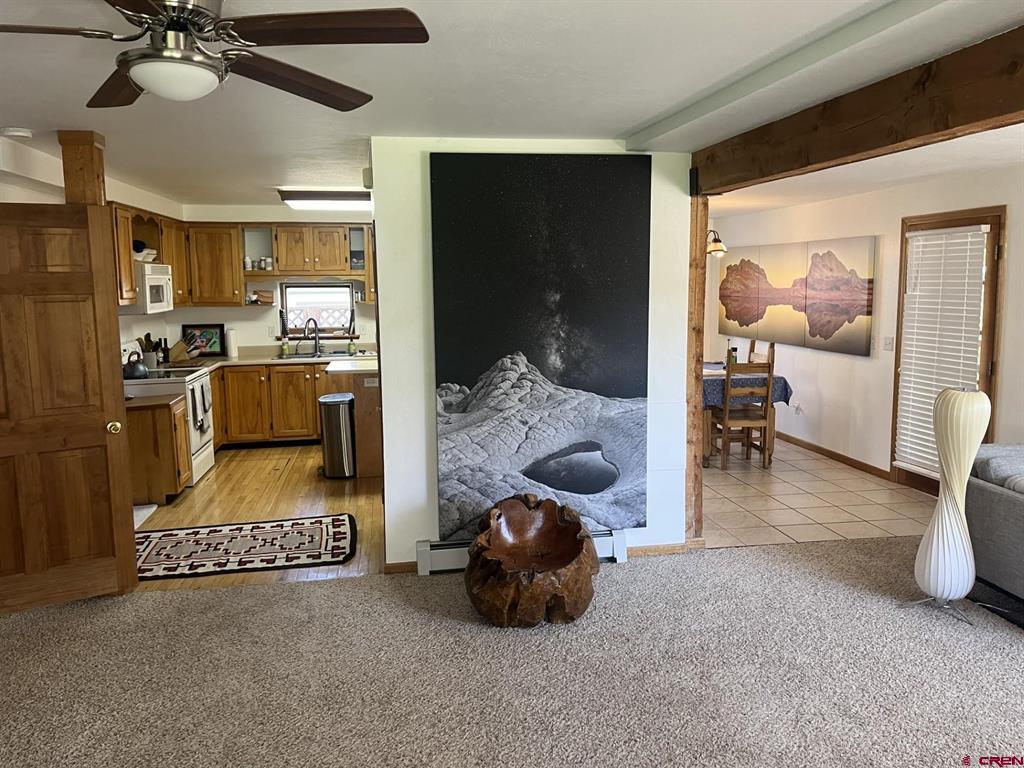 330 N Cora Street Ridgway CO 81432