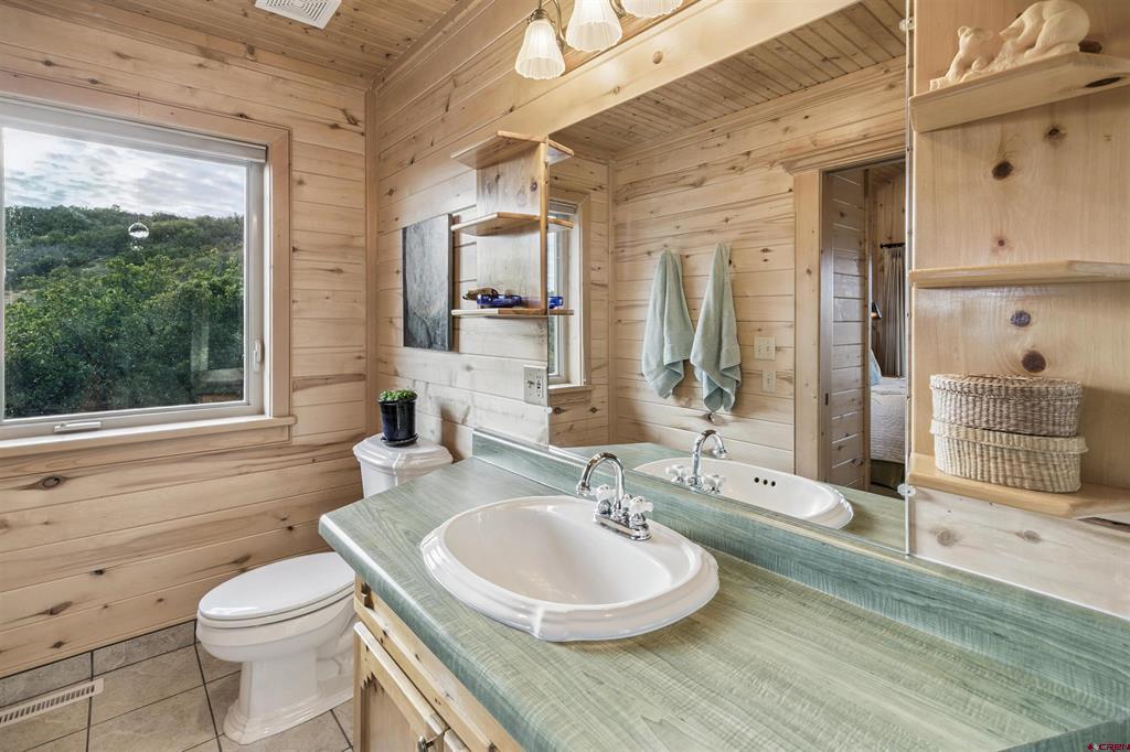 1100 Soaring Eagle Court Chromo CO 81128