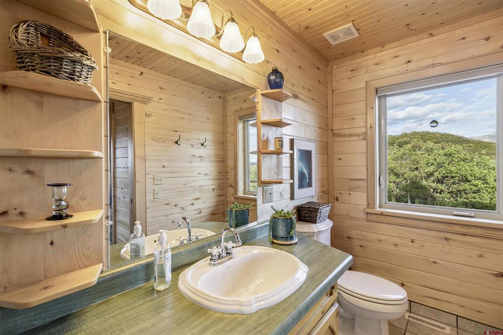 1100 Soaring Eagle Court Chromo CO 81128