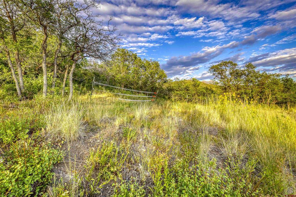 1100 Soaring Eagle Court Chromo CO 81128