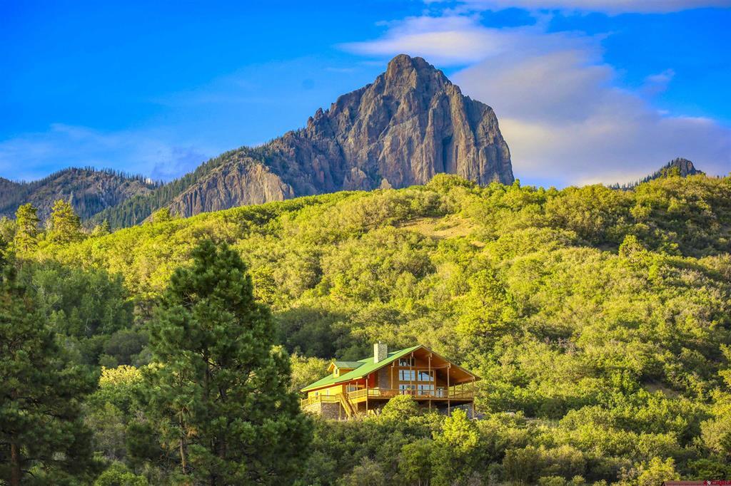 1100 Soaring Eagle Court Chromo CO 81128