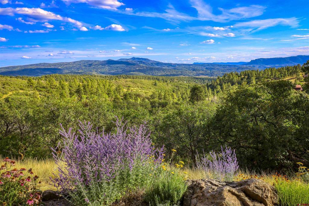 1100 Soaring Eagle Court Chromo CO 81128